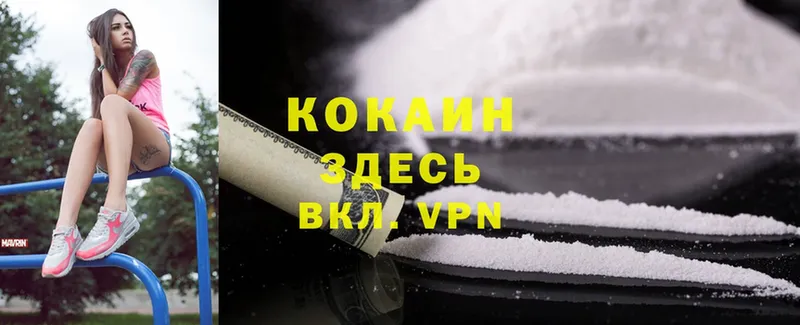 blacksprut ссылка  Кингисепп  Кокаин FishScale  хочу  